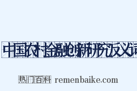 中国农村金融创新研究反义词是什么意思的图片